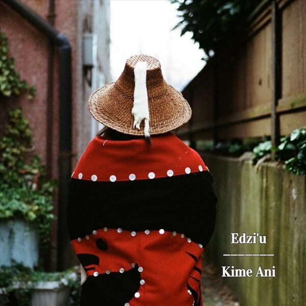 Cover art for Kime Ani